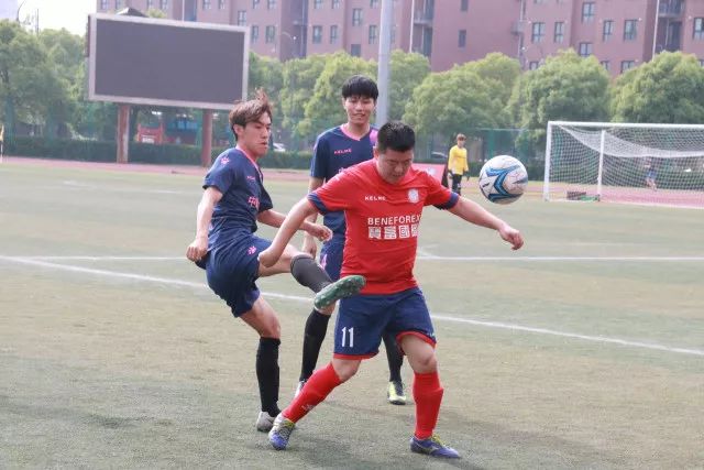 这些回复亮了
